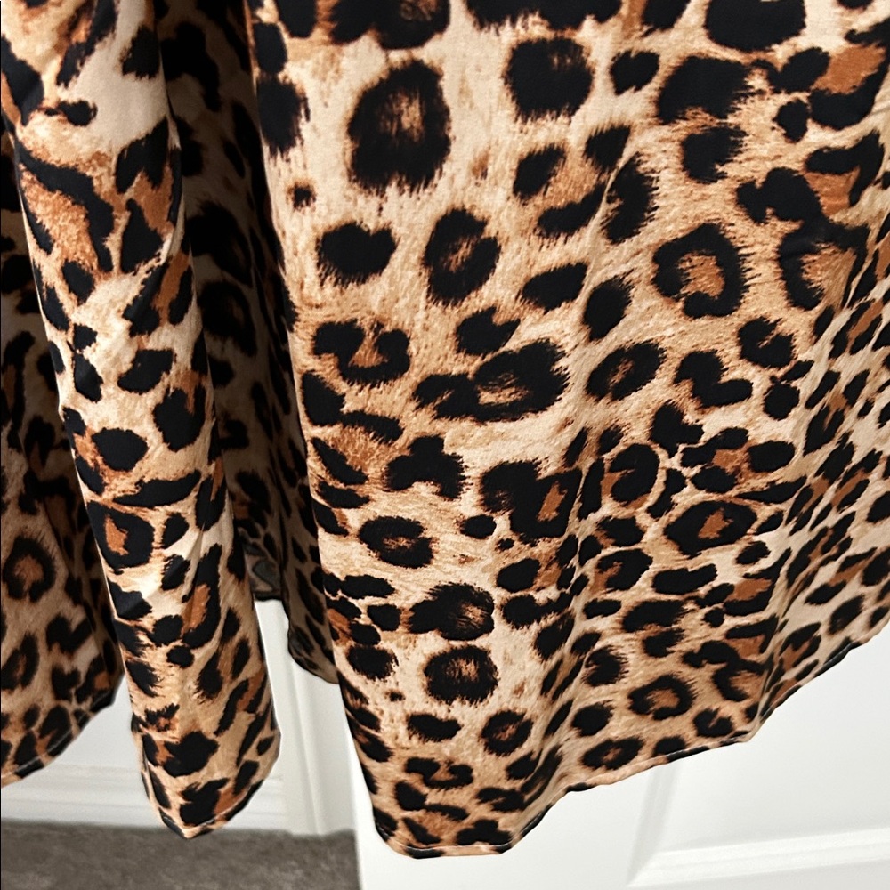 Leopard Print Maxi Dress - Picture 6 of 6
